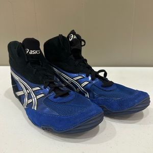 ASICS Wrestling Shoe (Men’s 14)